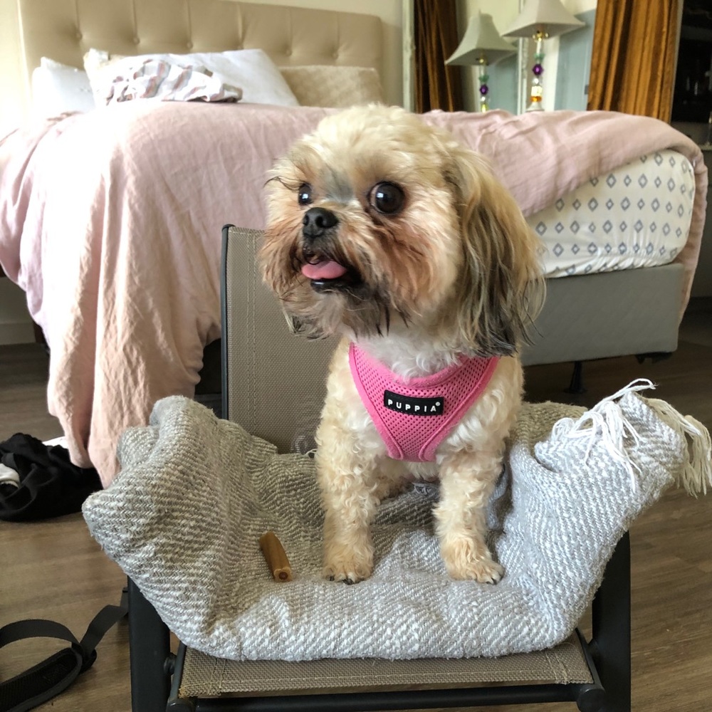 Meet your Posher, Avery